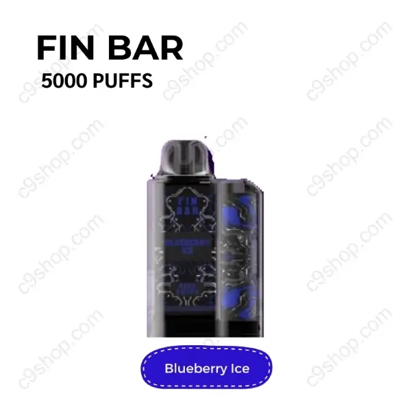 fin bar 5000 puffs blueberry ice
